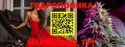 ALPHA PVP Нальчик