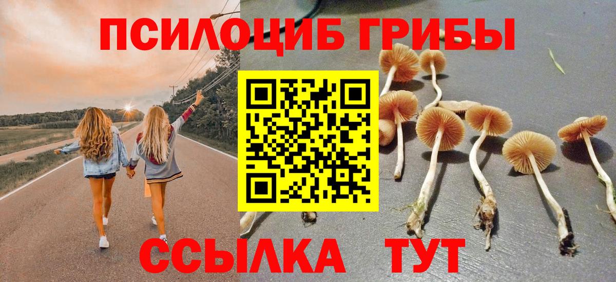 Псилоцибиновые грибы мицелий Уварово