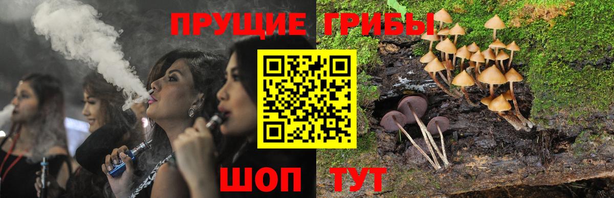 Галлюциногенные грибы MAGIC MUSHROOMS  Вход с VPN  Уварово 